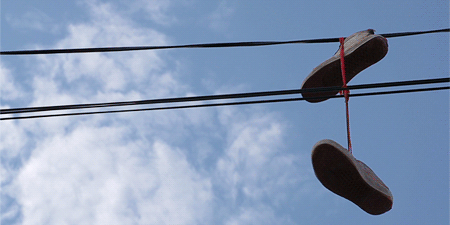 [profilbildo: Manfredo]