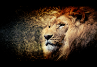 [profilbildo: Ajakso]