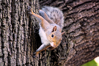 [profilbildo: Margareta]