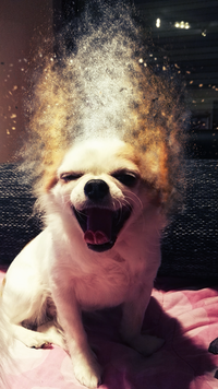 [profilbildo: Ajakso]